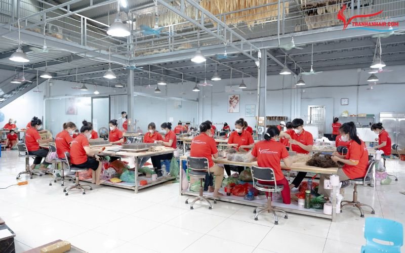 Production scale in Vietnamese hair factories