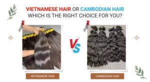 Vietnamese hair or Cambodian hair which is the right choice for you