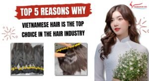 TOP 5 reasons why vietnamese hair is the top choice in the hair industry