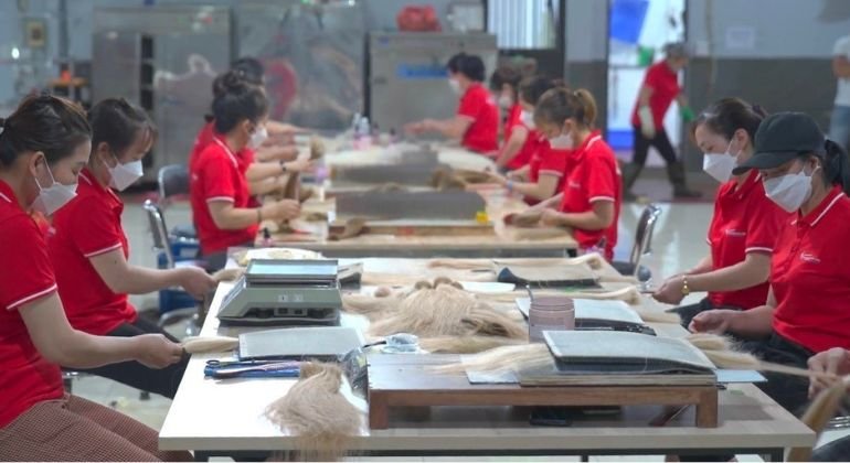 Hair extension manufacturing in Vietnam by Thanh An Hair