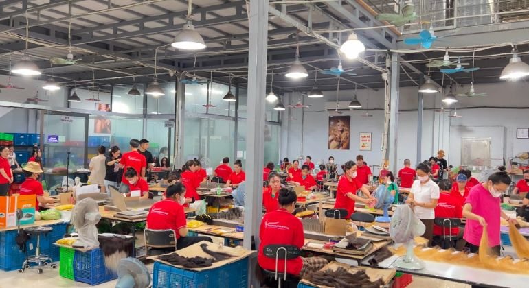 Hair manufacturing capacity of Thanh An Hair as a wholesale hair supplier