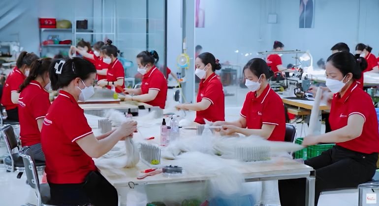 Hair Sorting and Inspection
