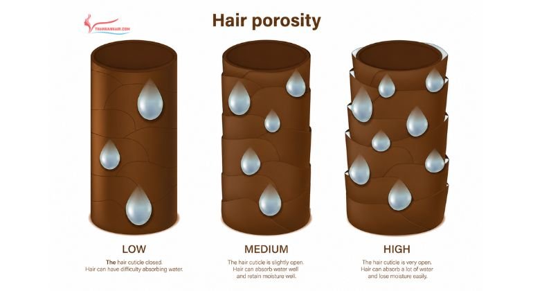 Hair Texture, Porosity and Application Method all Matter