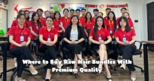 Where to Buy Raw Hair Bundles With Premium Quality