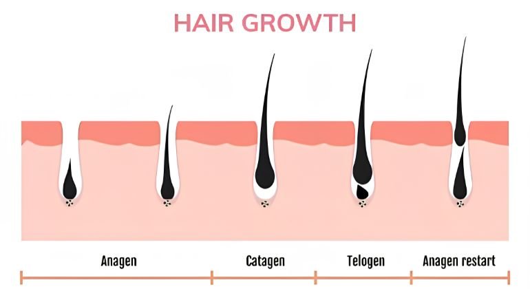 How hair actually grows (the part myths ignore)