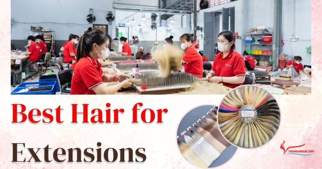 Best Hair for Extensions How Distributors Pick Stock