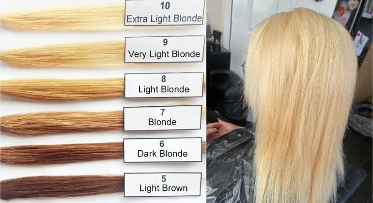 Perform the Level 10 Bleach Test